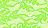 Lime Elsa