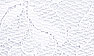 White Spanish Rose Lace