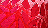 Flamenco Vogue Burnt-out Velvet