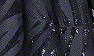 Black Fern