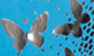 Blue-Silver Butterfly