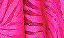 Candy Fern