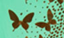 Green-Gold Butterfly