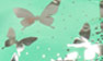 Green-Silver Butterfly