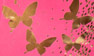 Pink-Gold Butterfly