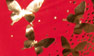 Red-Gold Butterfly