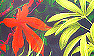 05 Tropical Print