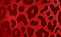 01 Red Flock