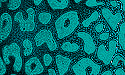 02 Green Flock