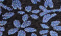 04 Navy Flock