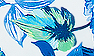 Blue Plantain