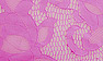 Candy Pink