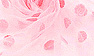 Soft Pink