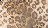 Leopard_Print