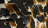 Burning-out_Leopard_Print