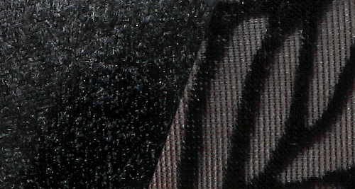 Black_Velvet