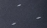Grey_Feather_Print