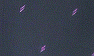 Purple Feather Print