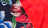 Flower Print w/ Red