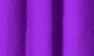 African Violet