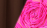 Chestnut / Fuchsia Lace