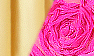 Cream / Fuchsia Lace
