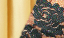 Cream w/ Black Lace Sleeves