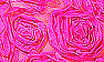 Floral / Fuchsia Lace