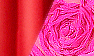 Light Red / Fuchsia Lace