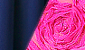 Navy / Fuchsia Lace