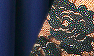 Navy w/ Black Lace Sleeves