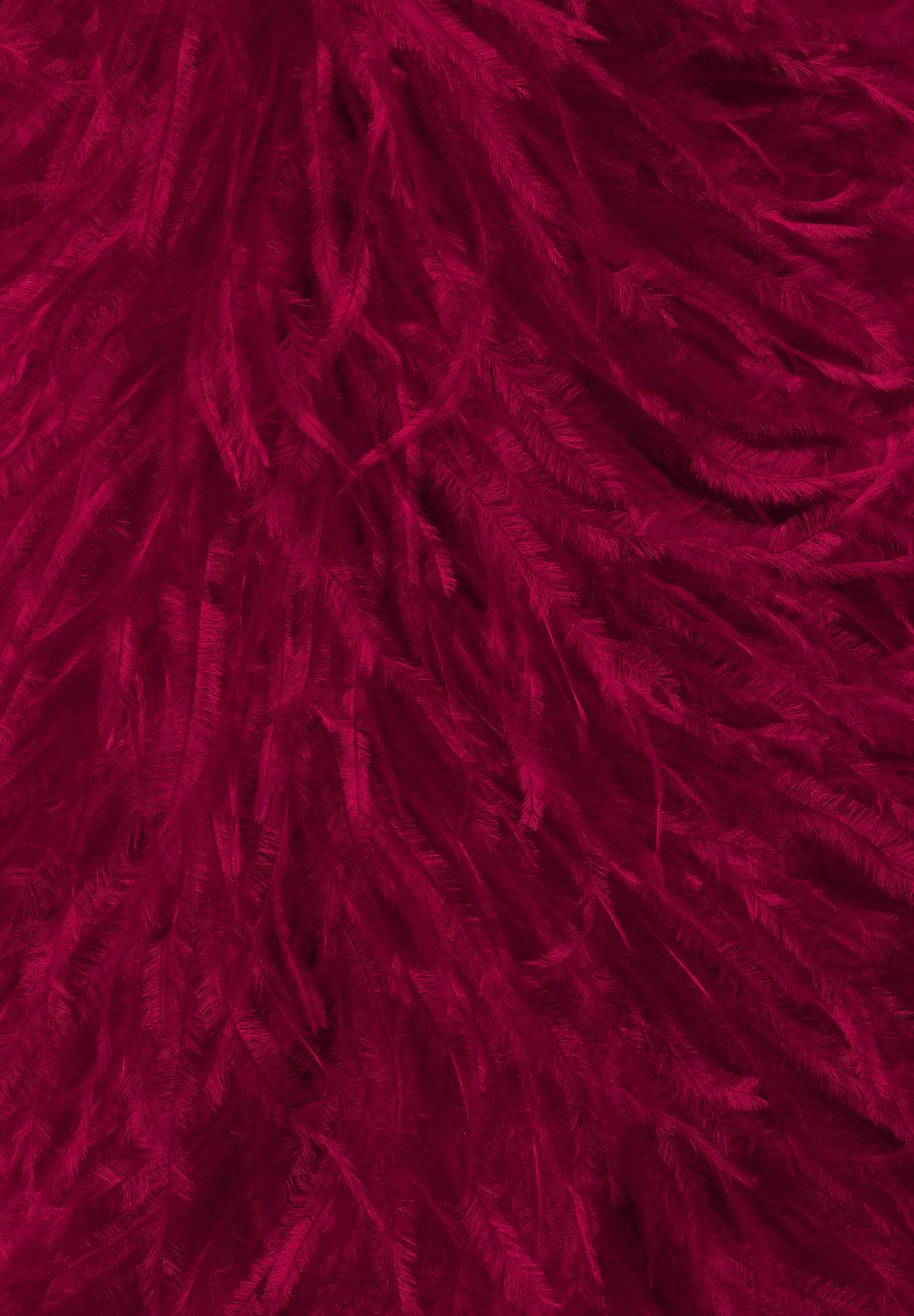 Chrisanne Clover Ostrich Feather Fringe | Danceshopper