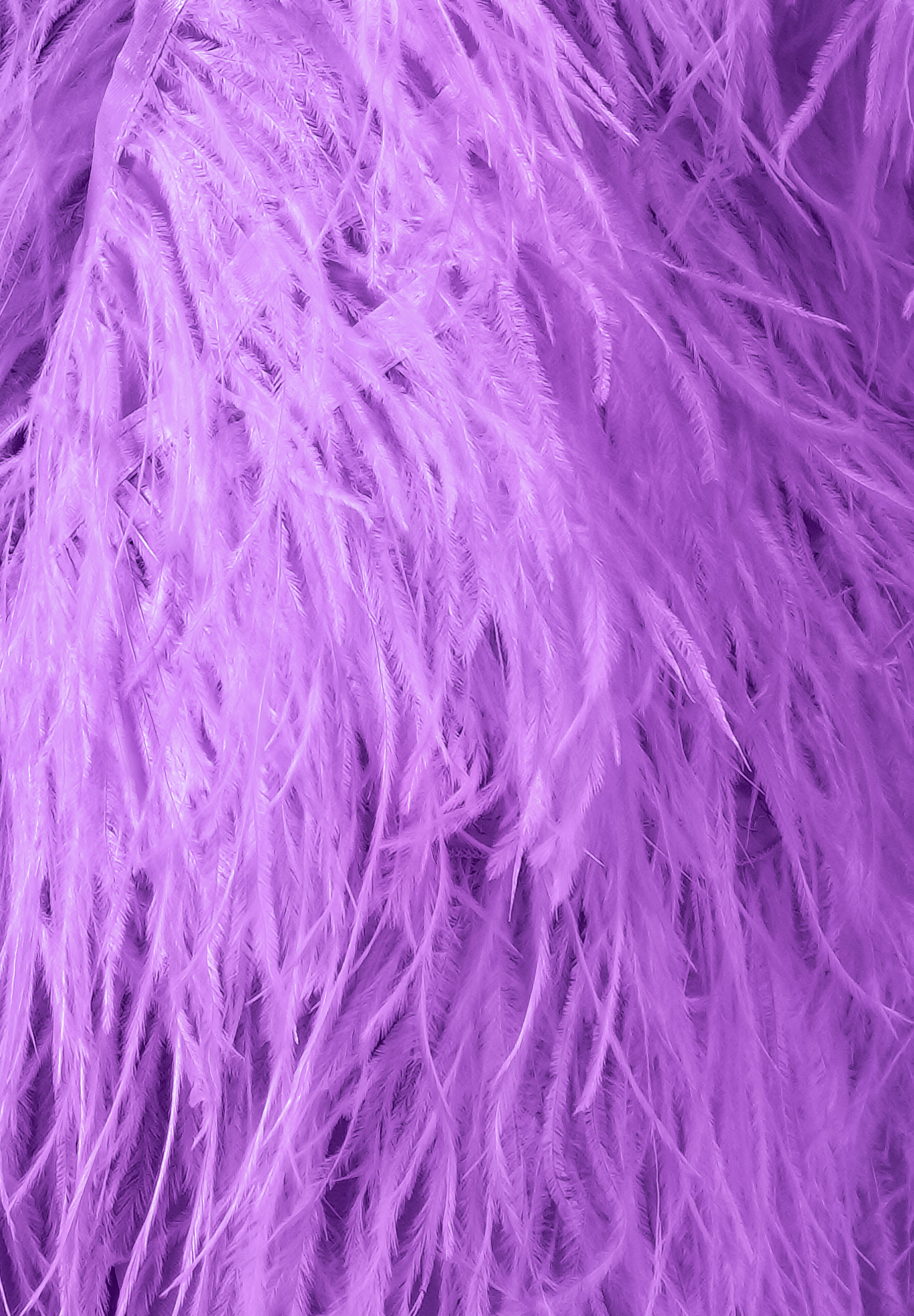 クリスアンクローバー製　オーストリッチ　パープル Chrisanne Clover Ostrich Feather Fringe | Danceshopper