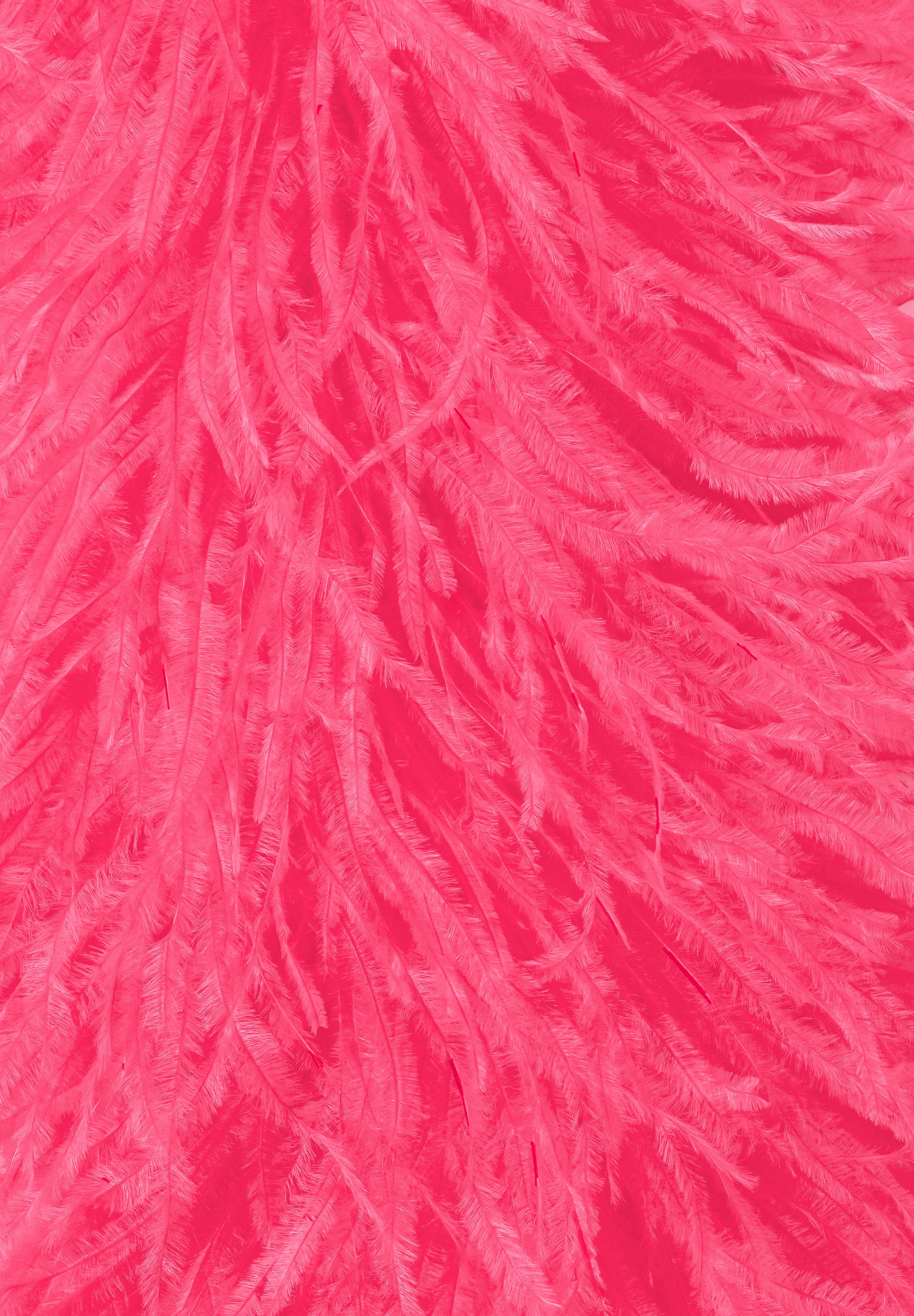 クリスアンクローバー製　オーストリッチ　パープル Chrisanne Clover Ostrich Feather Fringe | Danceshopper