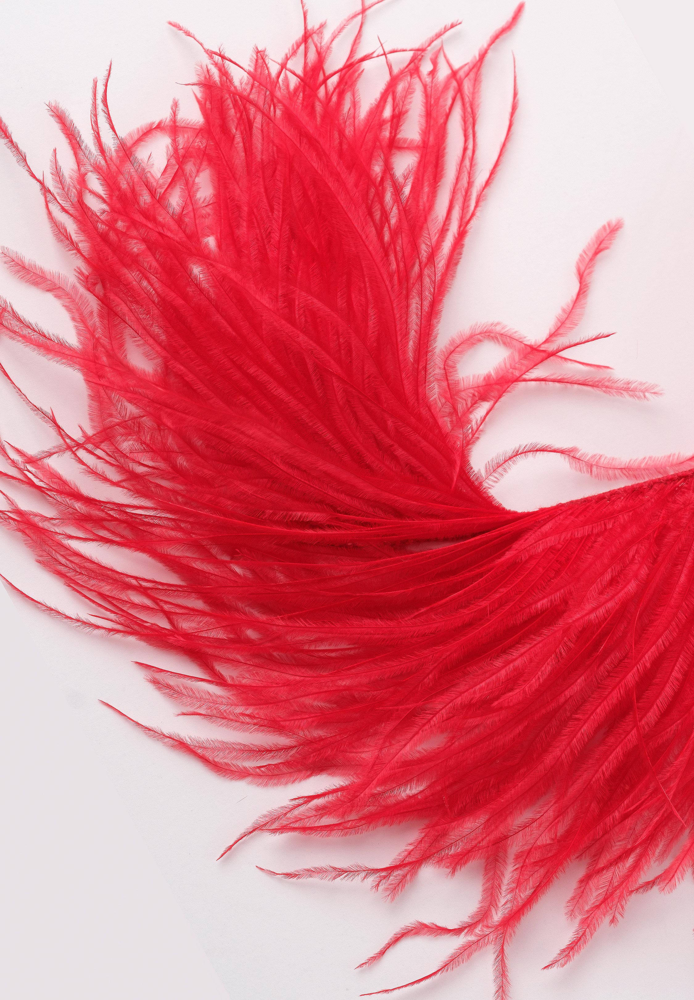 クリスアンクローバー製　オーストリッチ　パープル Chrisanne Clover Ostrich Feather Fringe | Danceshopper