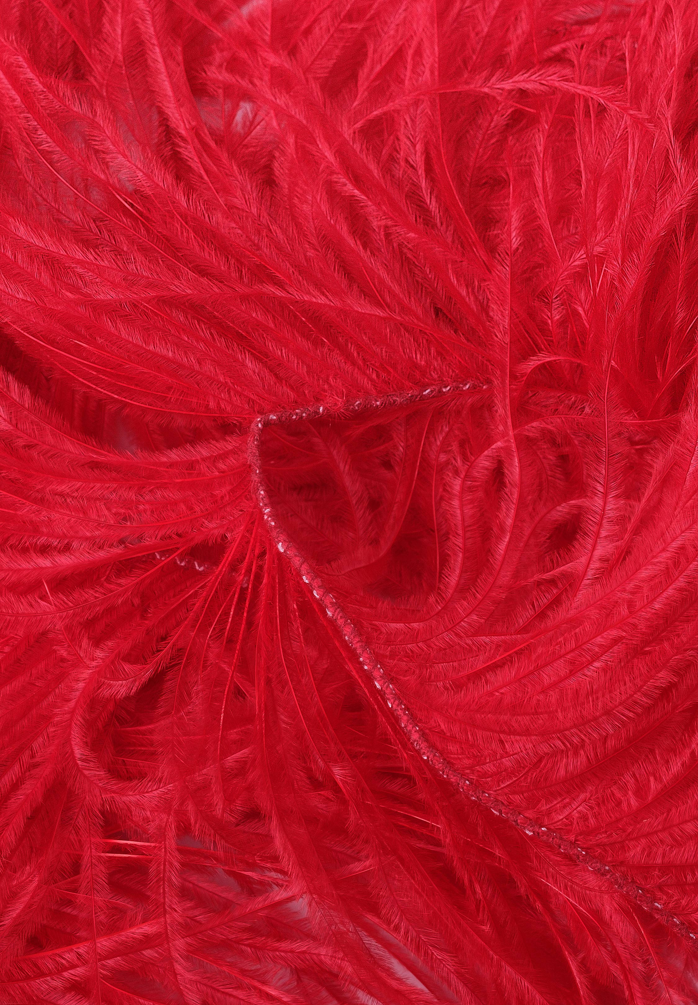 Chrisanne Clover Ostrich Feather Fringe | Danceshopper