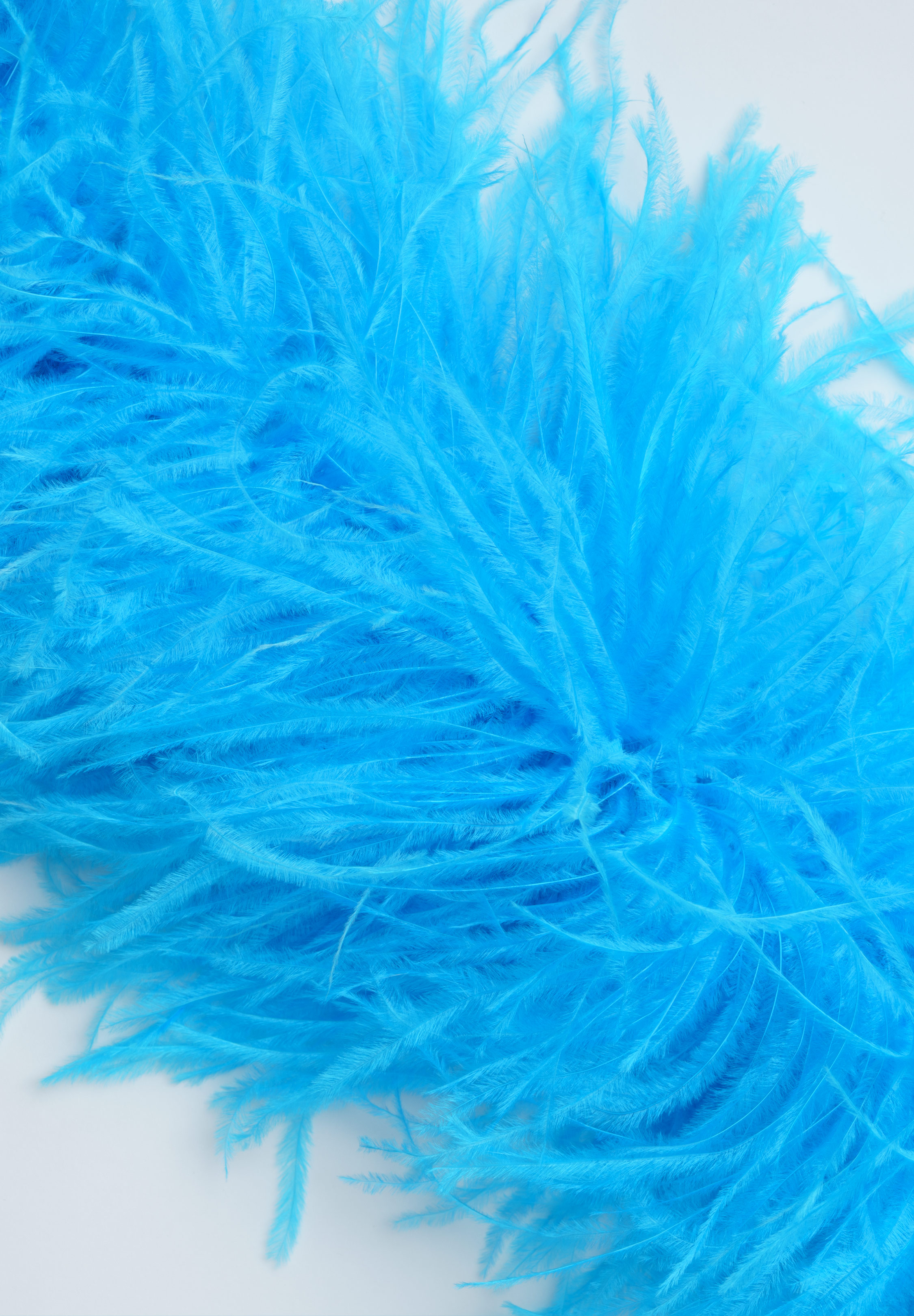 Blue_Paradise