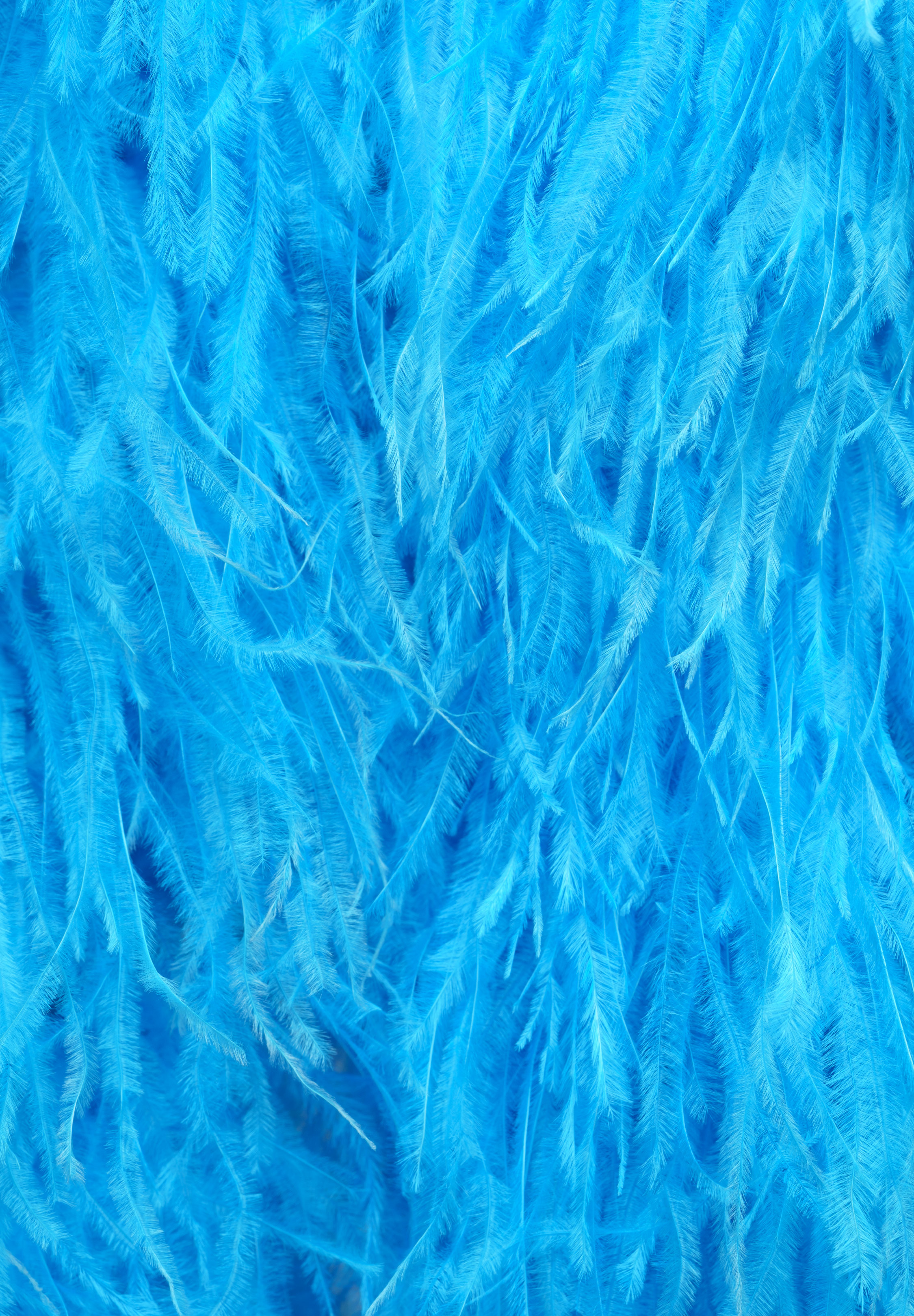Blue_Paradise