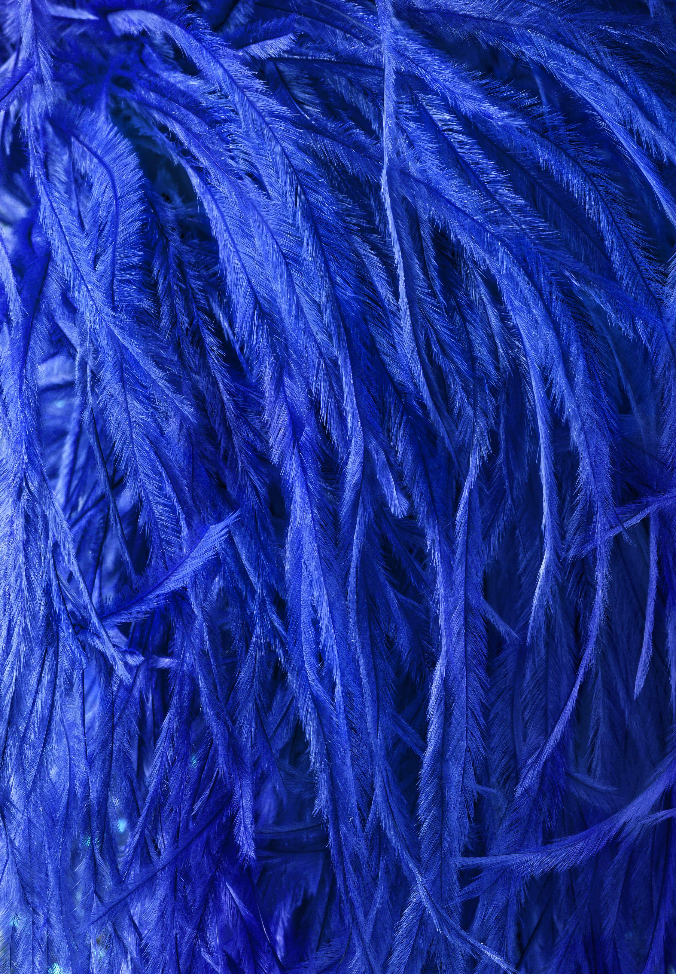 Cobalt