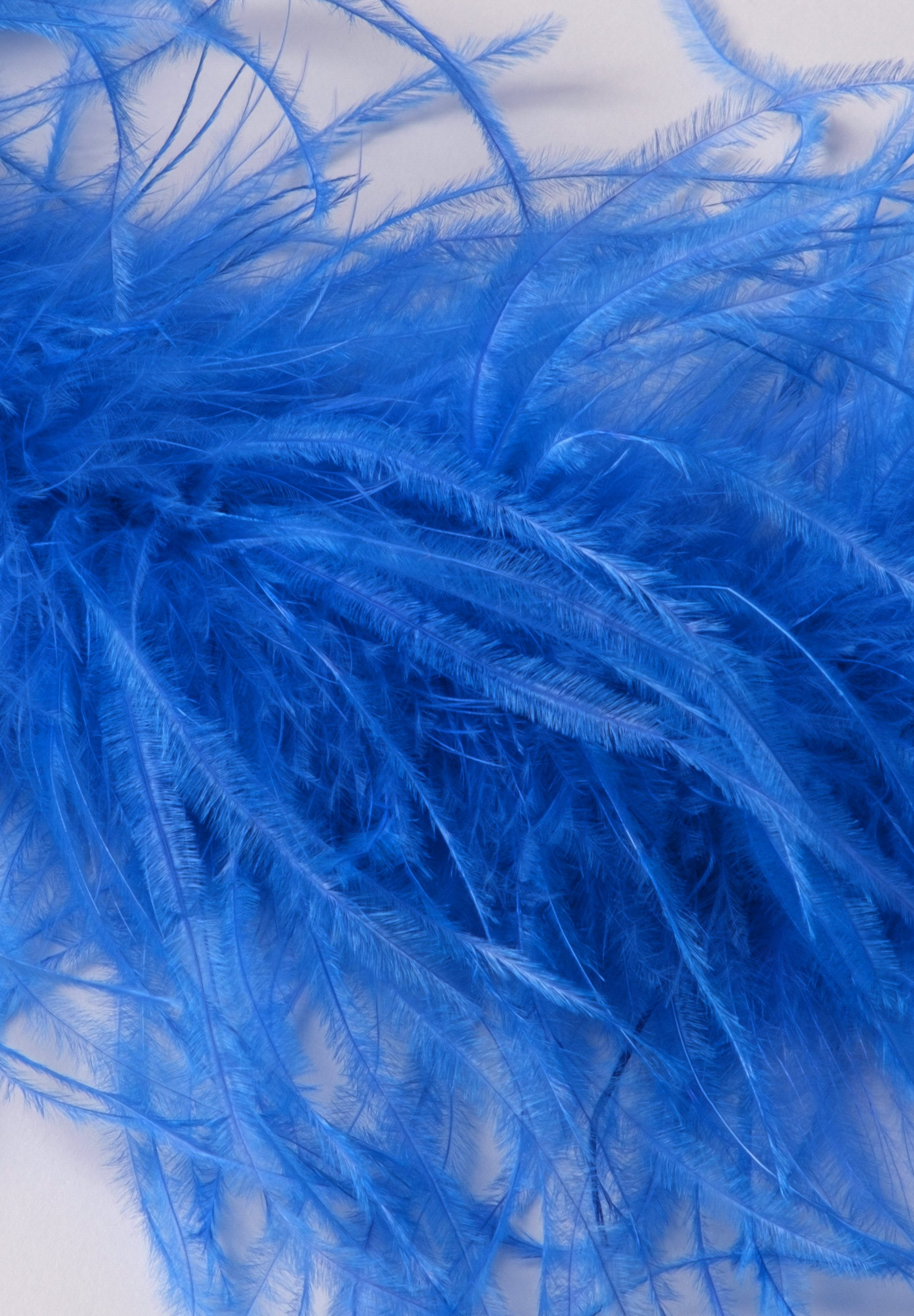 Electric_Blue