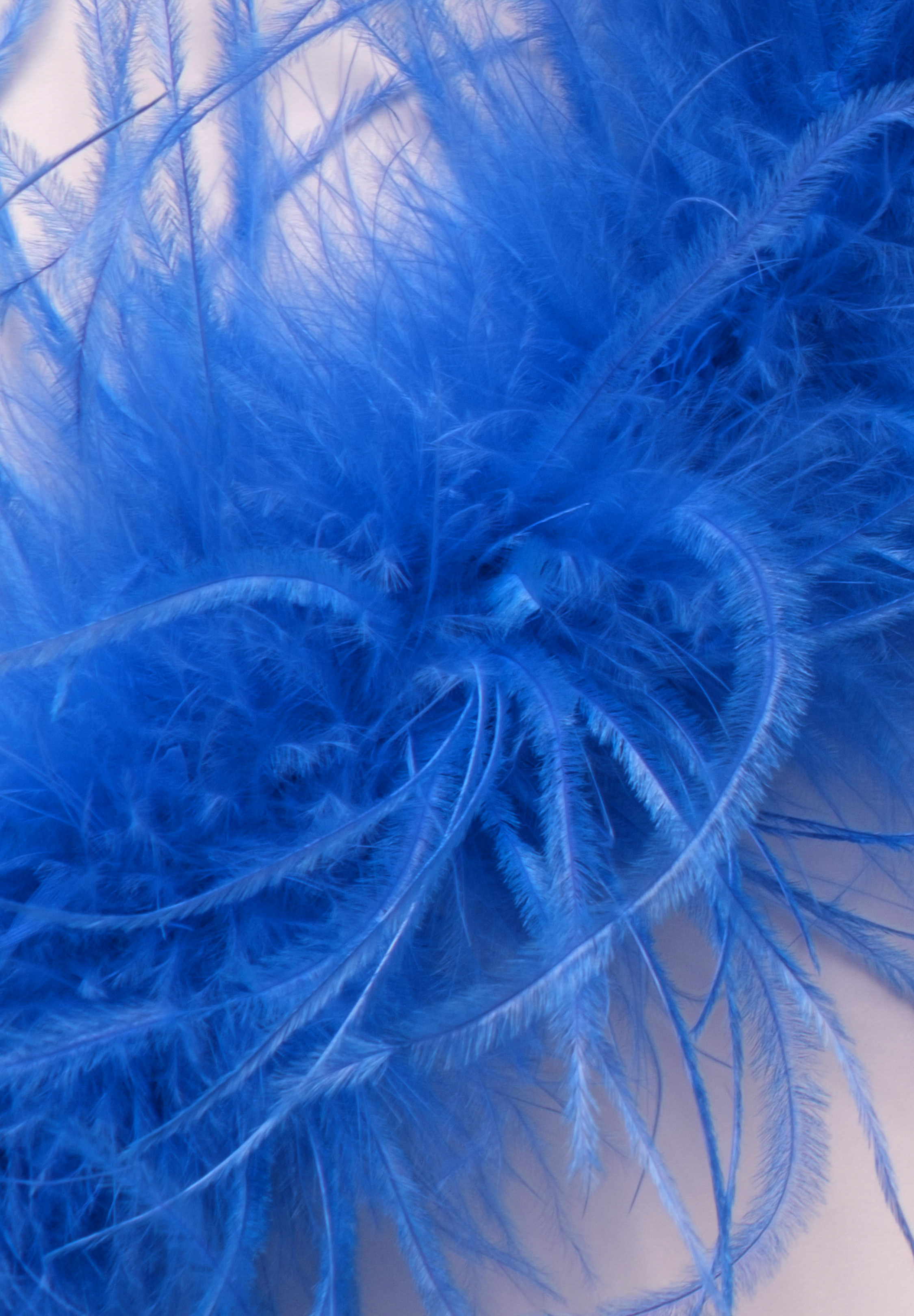 Electric_Blue
