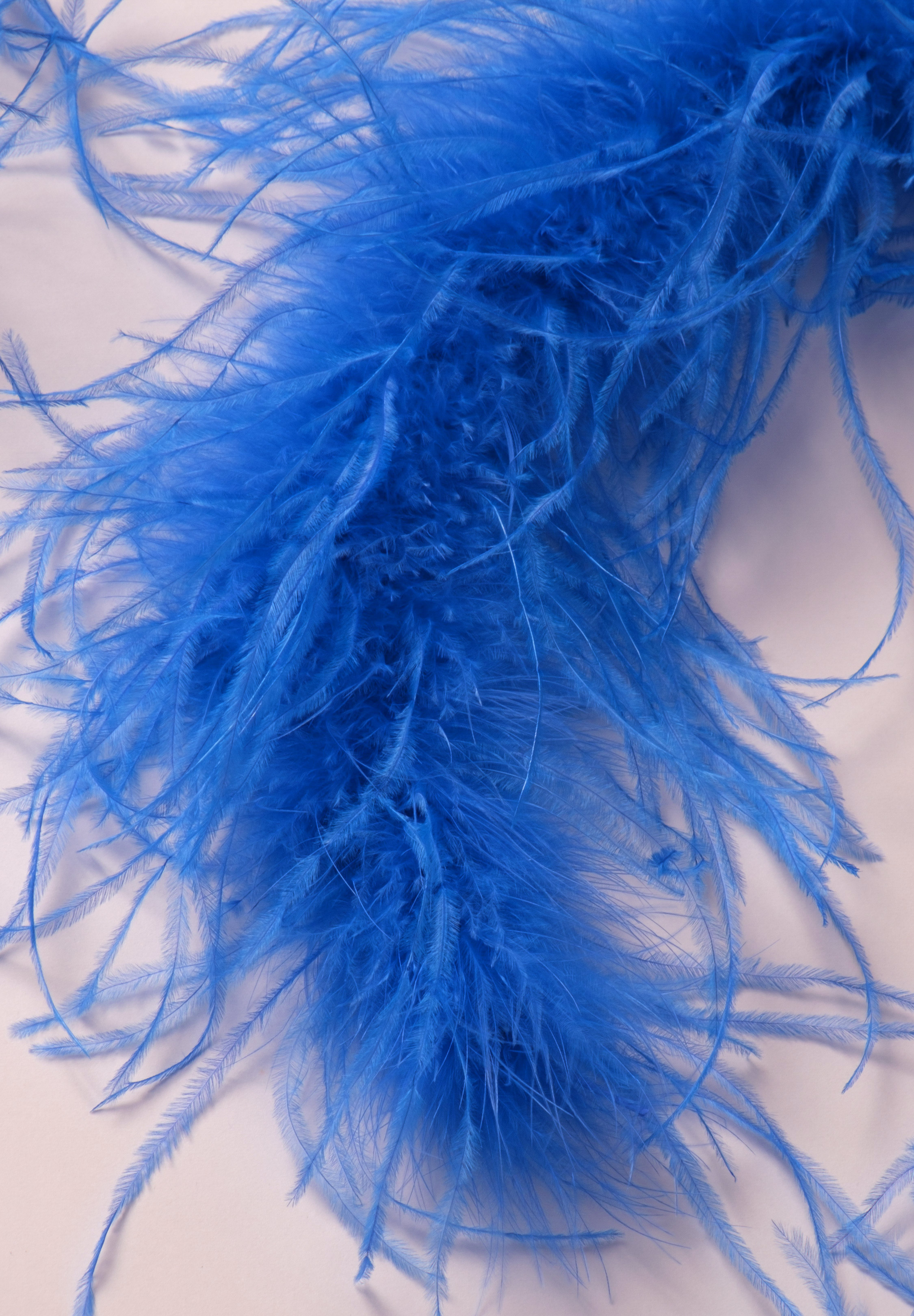Electric_Blue