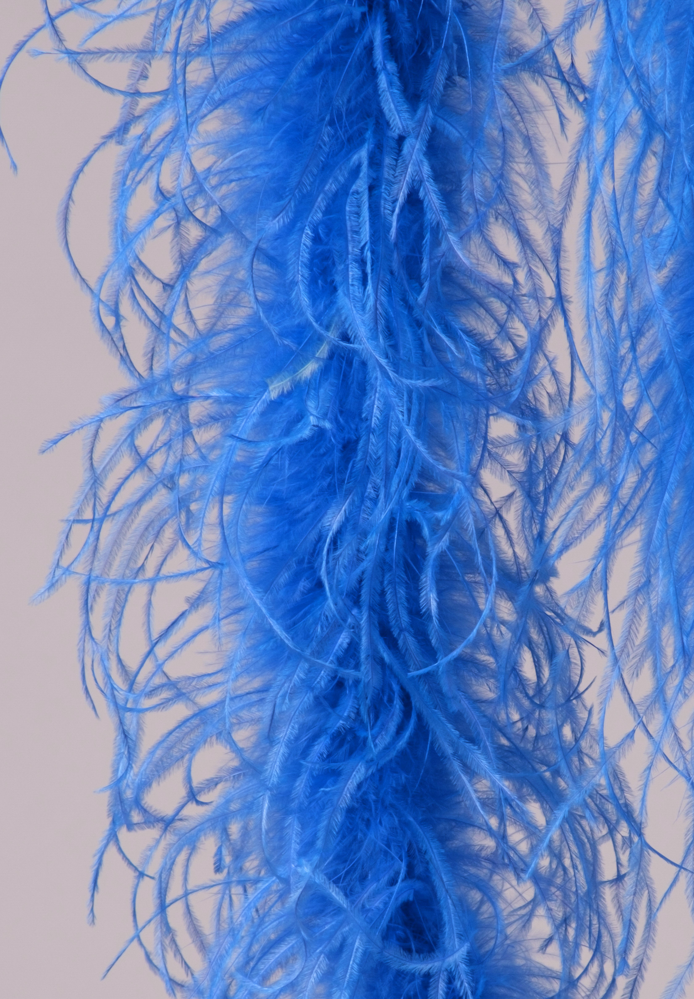 Electric_Blue