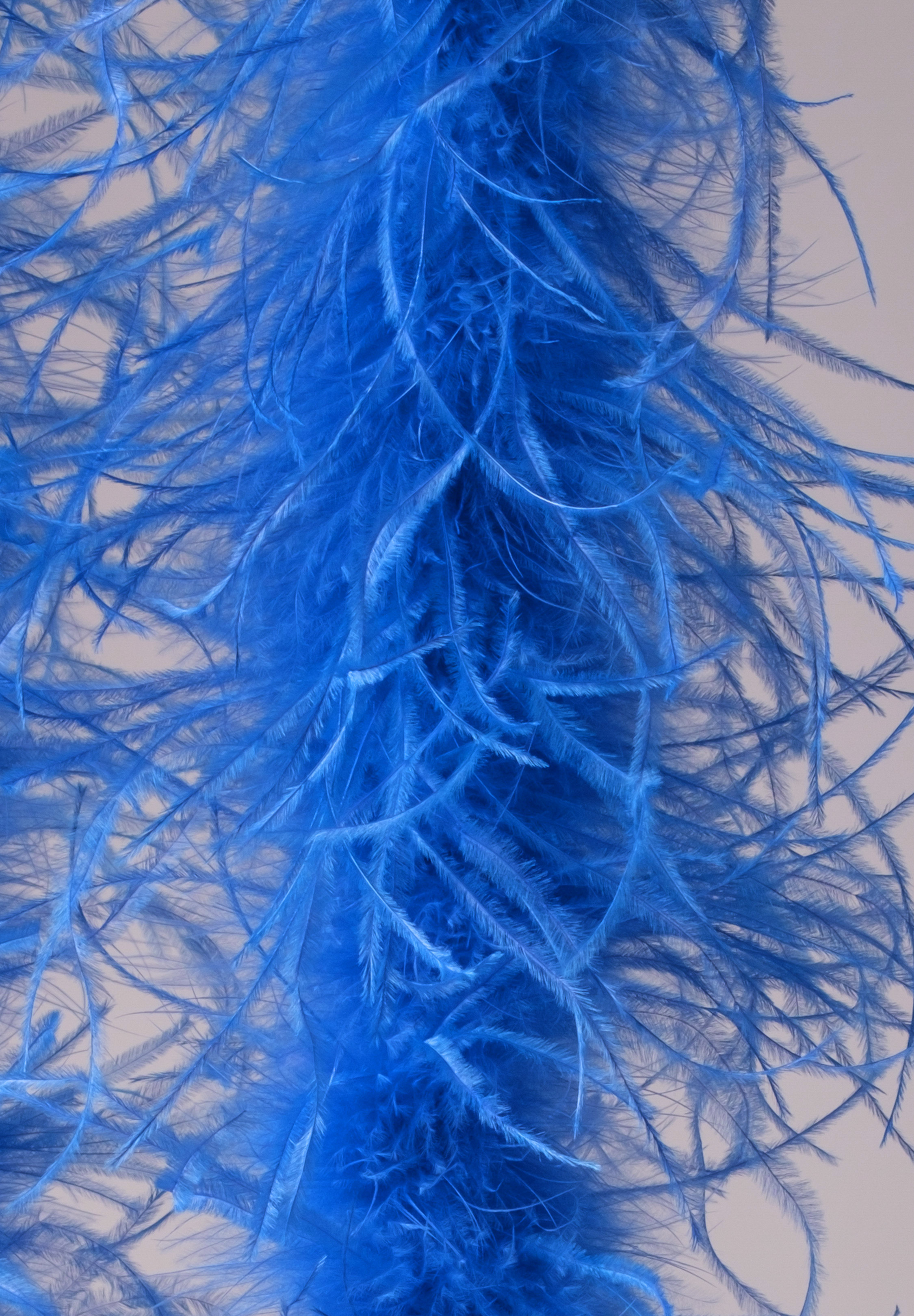 Electric_Blue