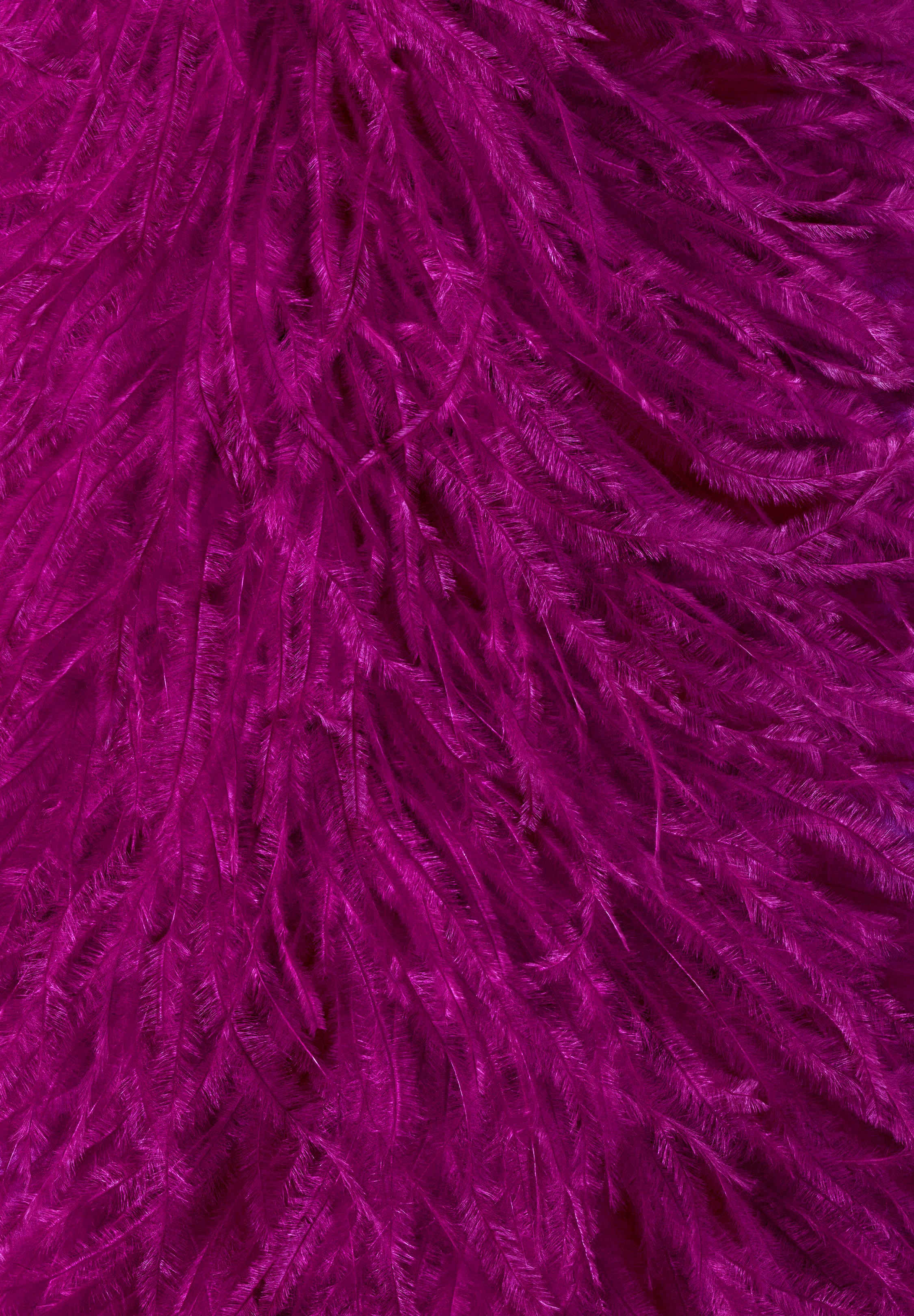 Fuchsia_Pink