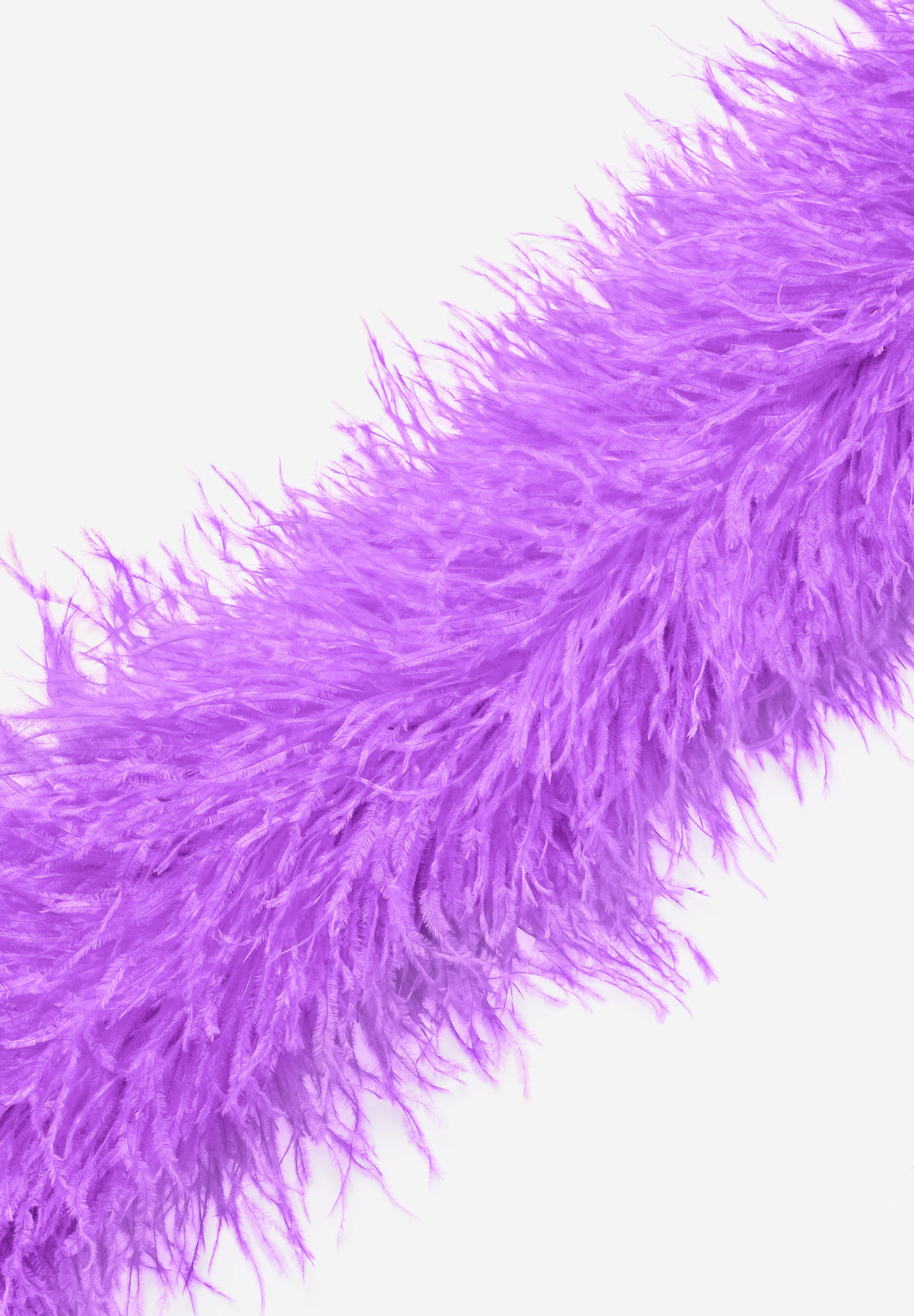 Lilac_Dream