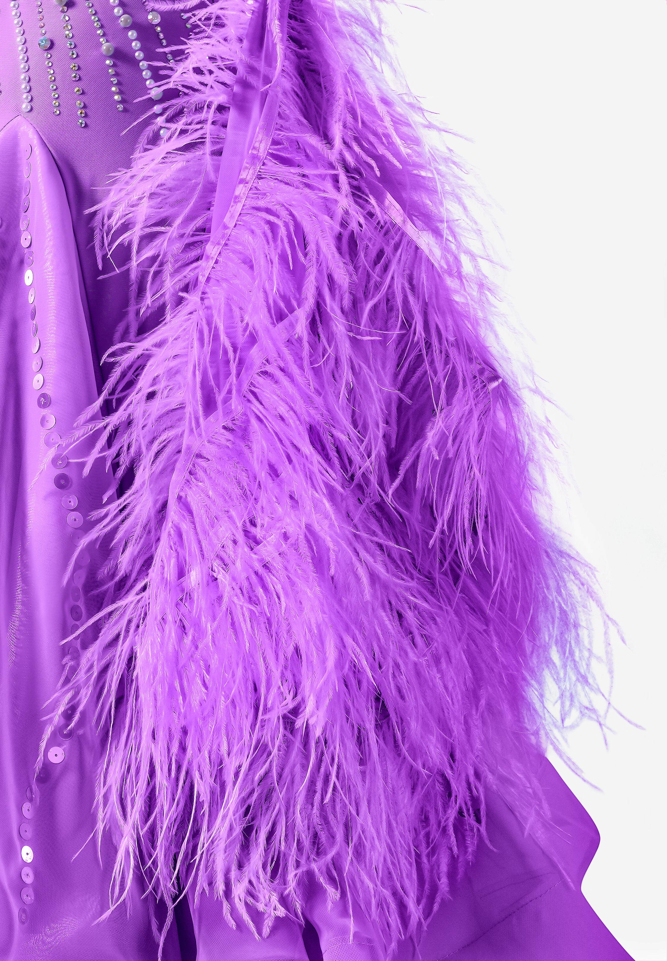 Lilac_Dream