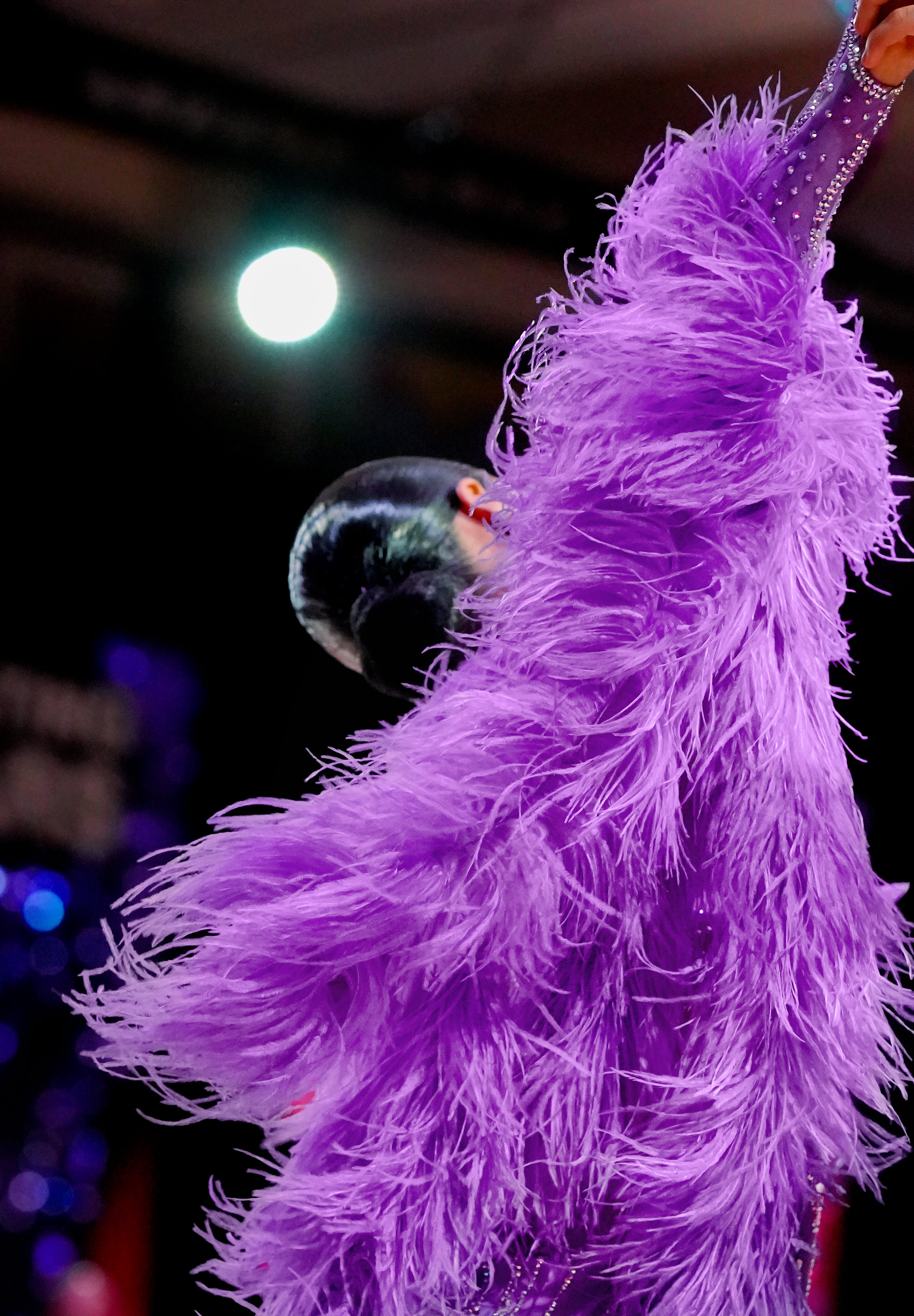 Lilac_Dream