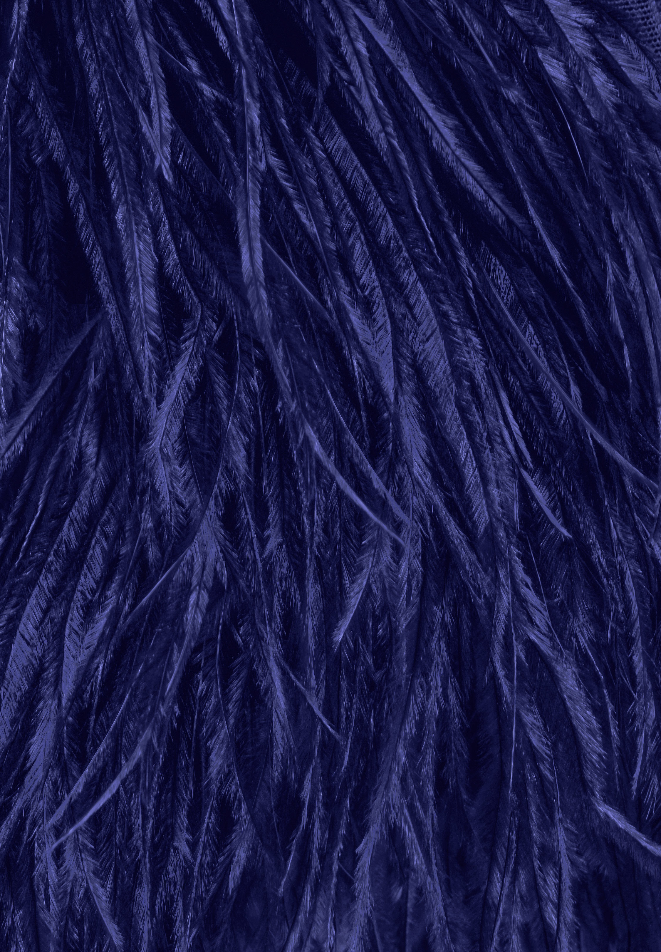Midnight_Sky