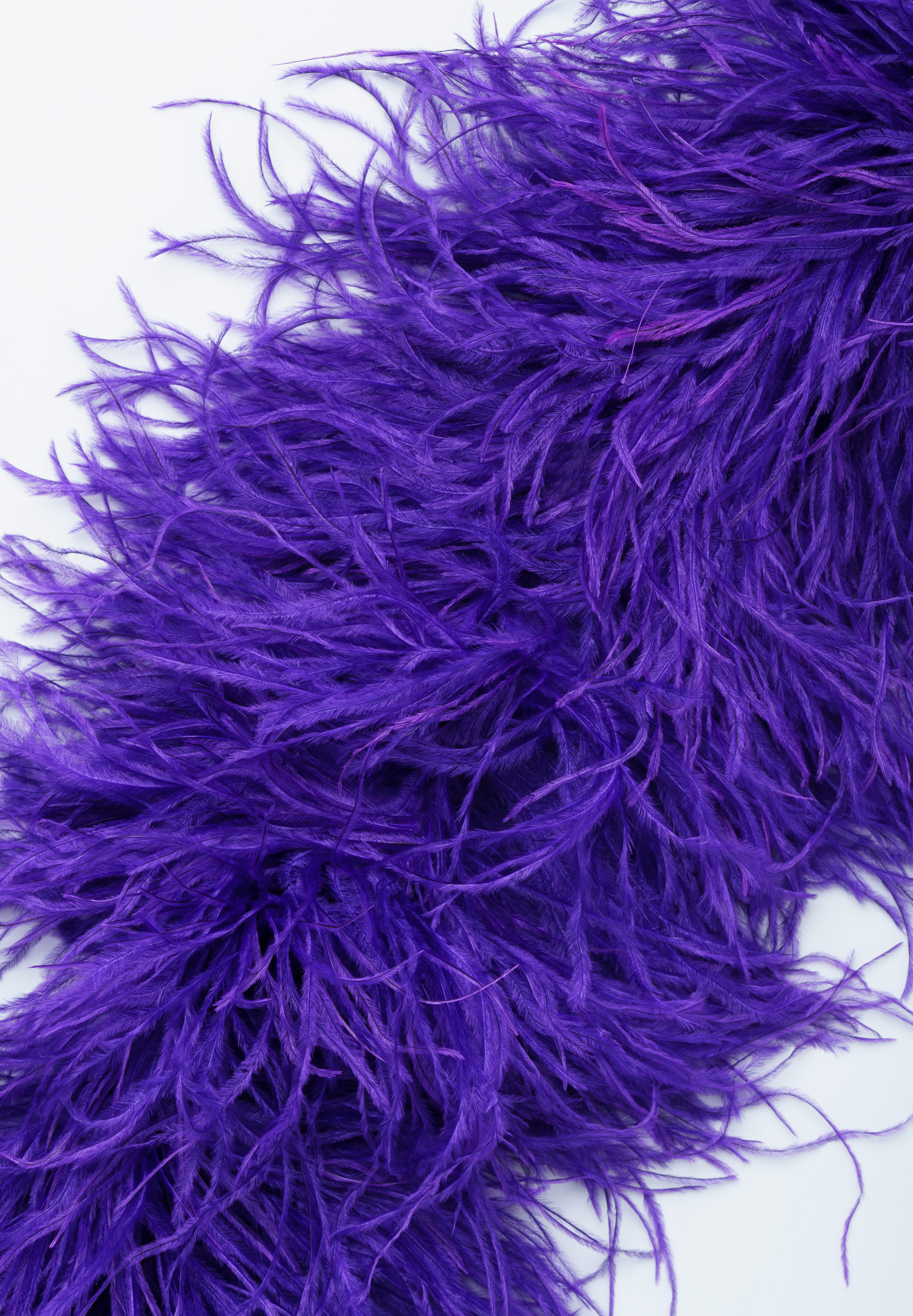 Purple_Rain